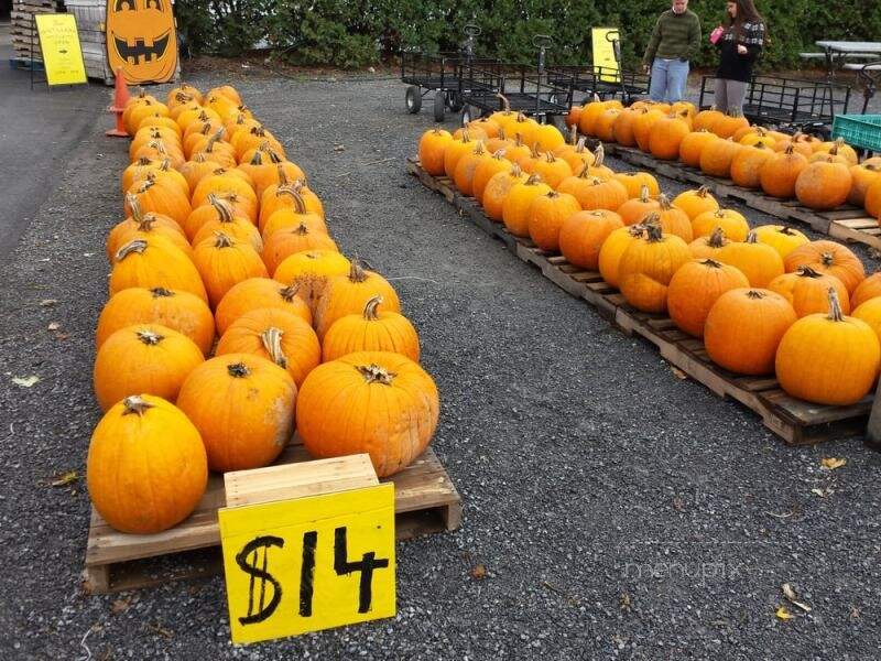Golden Harvest Farm - Valatie, NY menu_pic