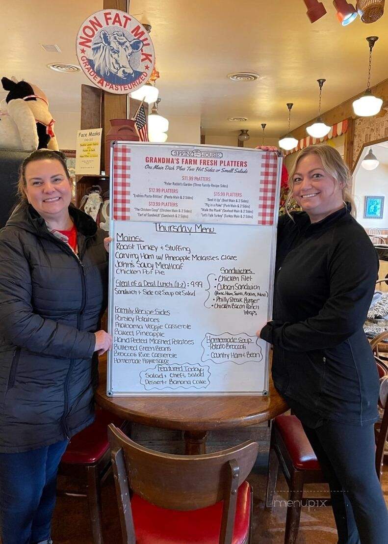 The SpringHouse - Washington, PA menu_pic