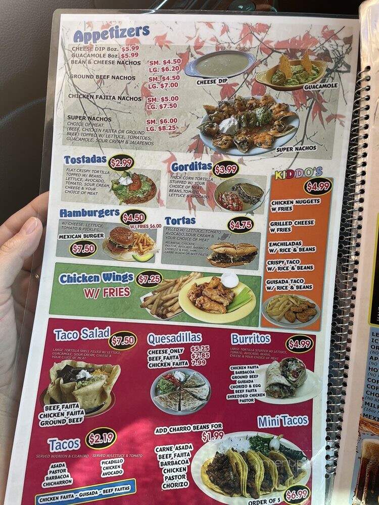Alondra's Mexican Restaurant - La Vernia, TX