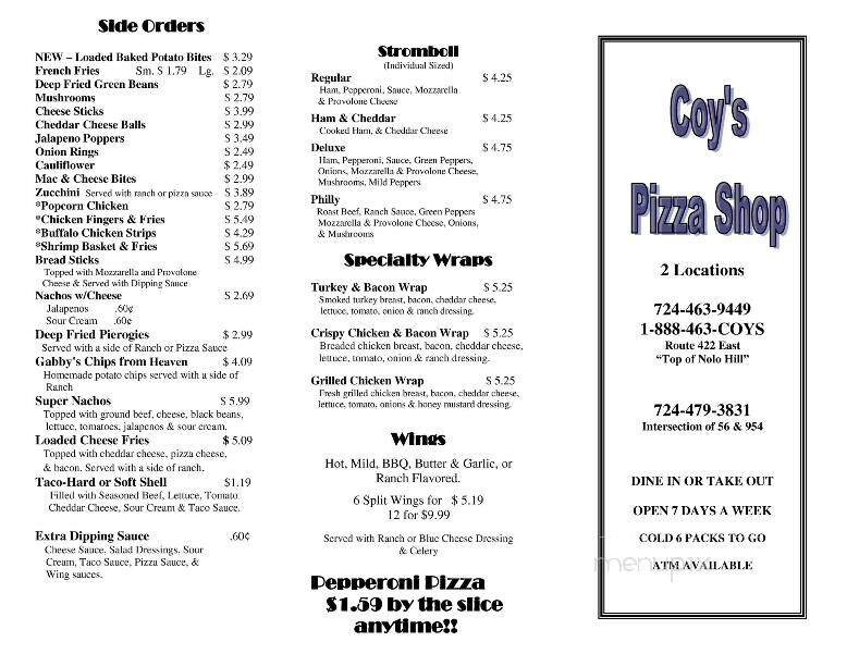 Coy's Store & Pizza Shop - Penn Run, PA