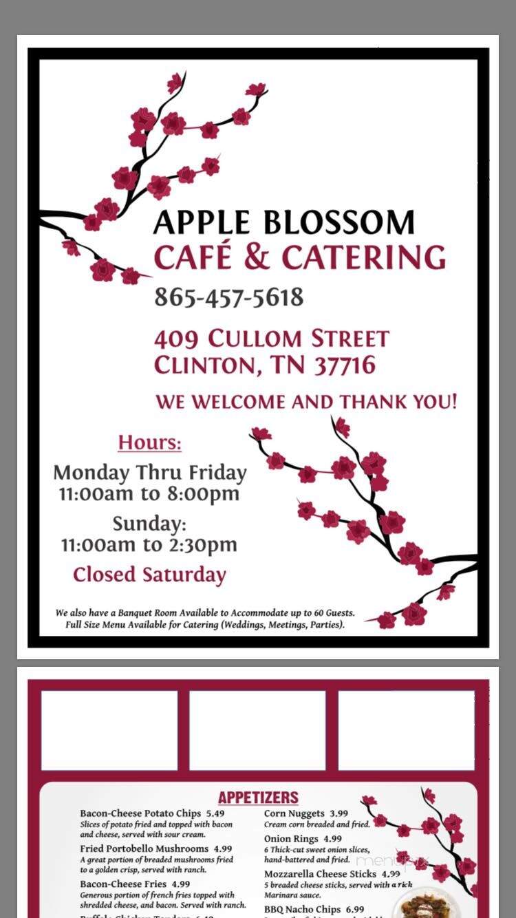 Apple Blossom Cafe - Clinton, TN