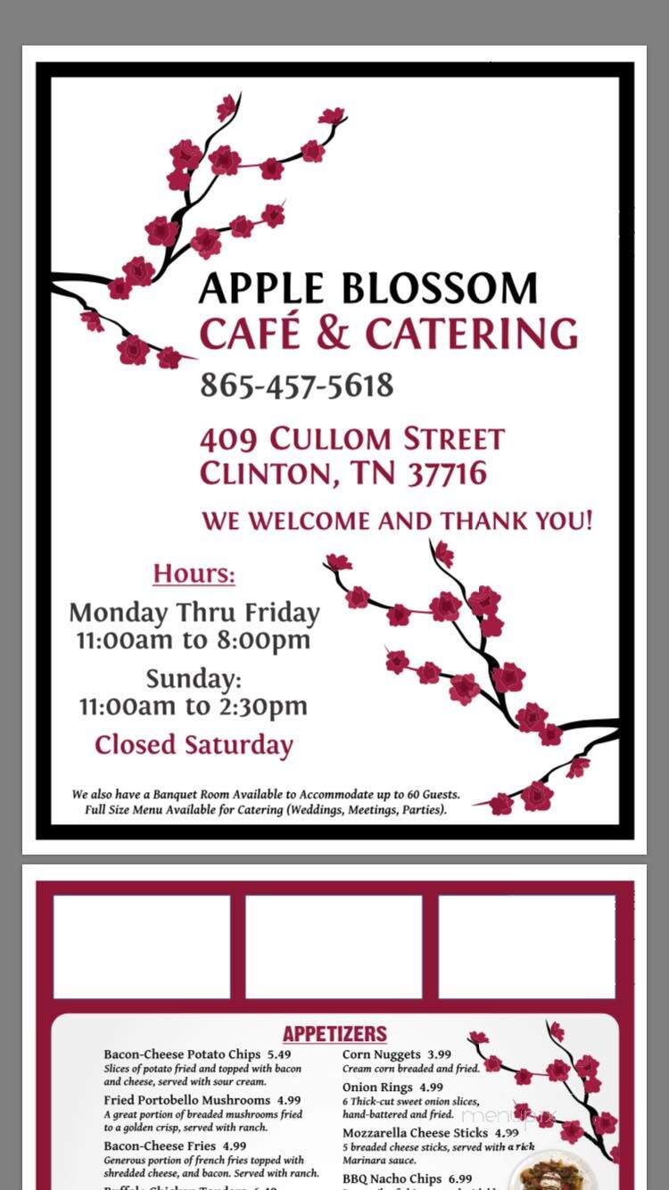 Apple Blossom Cafe - Clinton, TN menu_pic