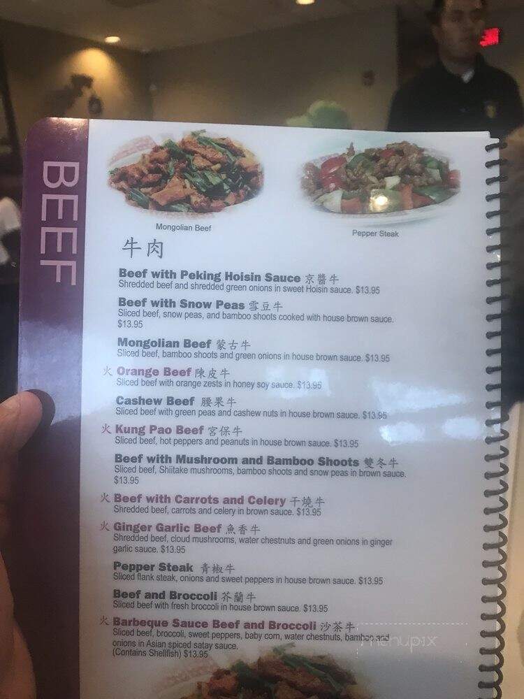 Szechuan Canton Restaurant - Canton, MI menu_pic
