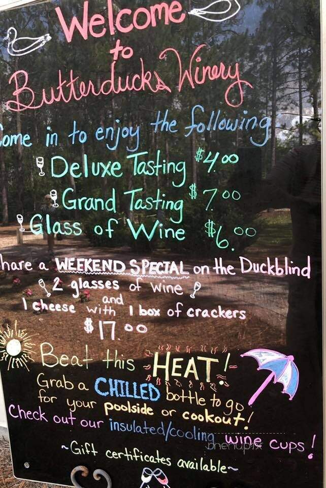 Butterducks Winery - Guyton, GA