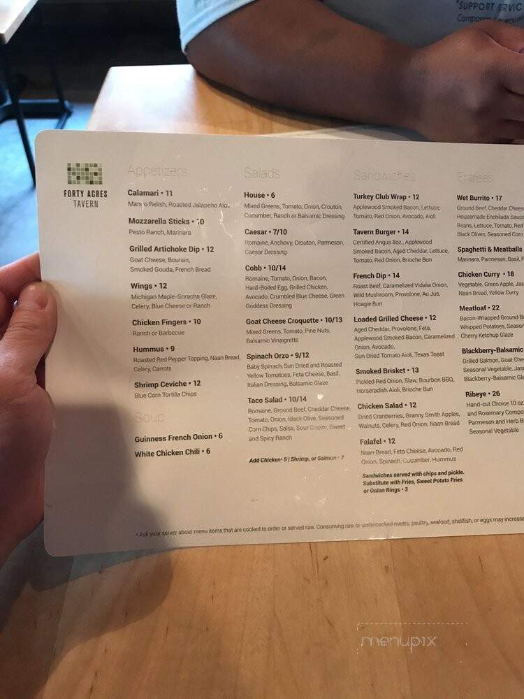 Forty Acres Tavern - Boyne Falls, MI menu_pic
