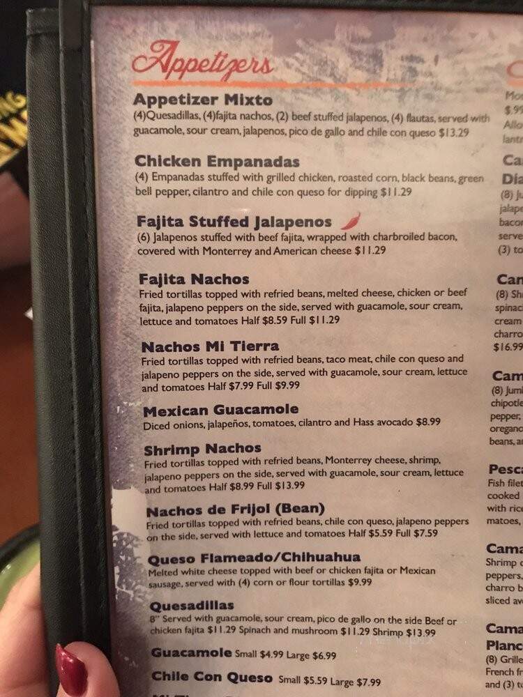 Mi Tierra Mexican Grill - Spring, TX