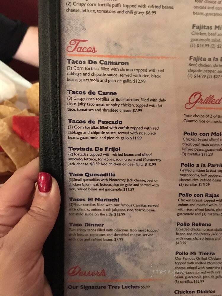 Mi Tierra Mexican Grill - Spring, TX