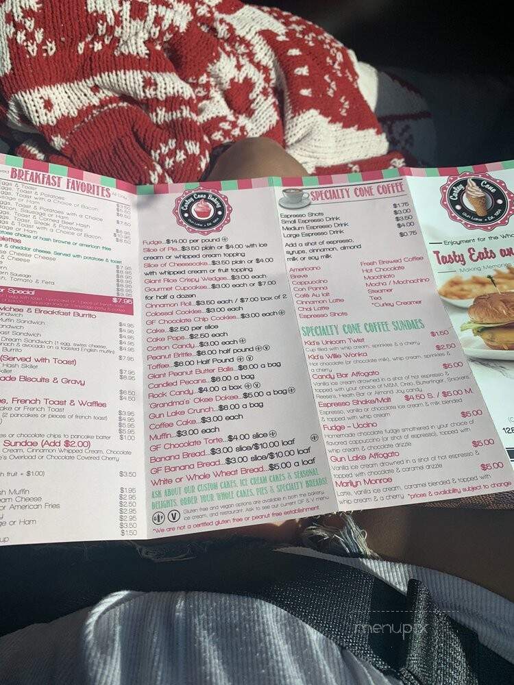 Curley Cone - Wayland, MI menu_pic