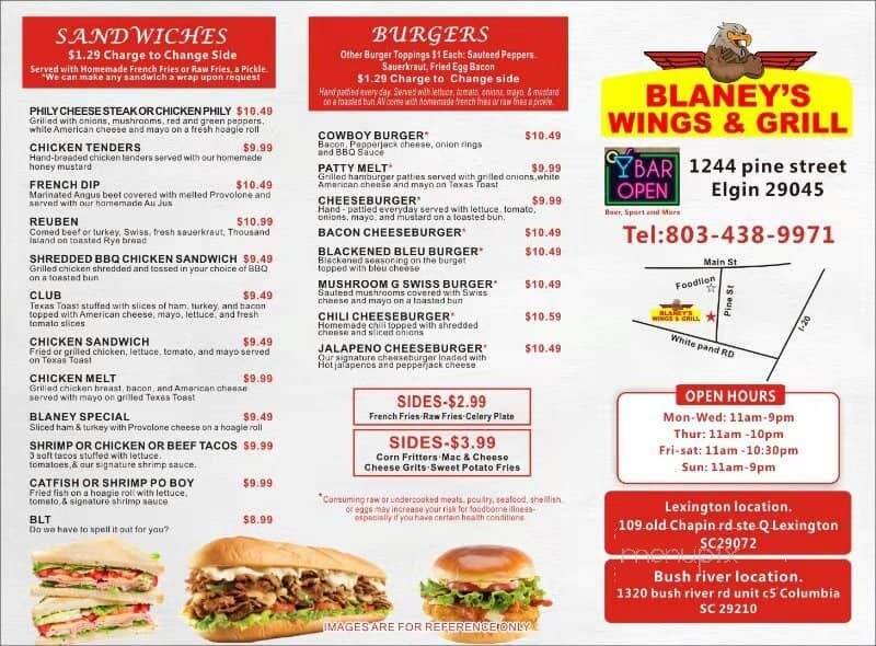Blaney Wings Ale - Elgin, SC menu_pic