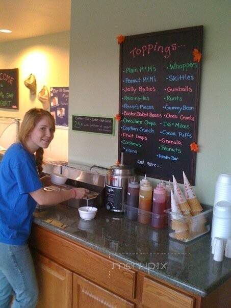 Whistle Stop Yogurt - Placerville, CA menu_pic