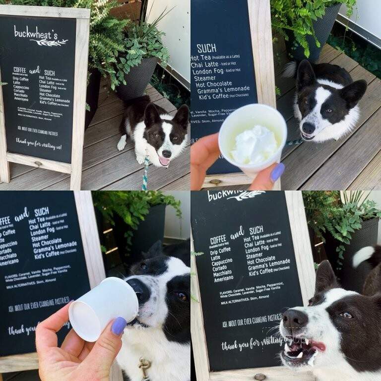 Buckwheat's Coffee and Such - Christiana, PA menu_pic
