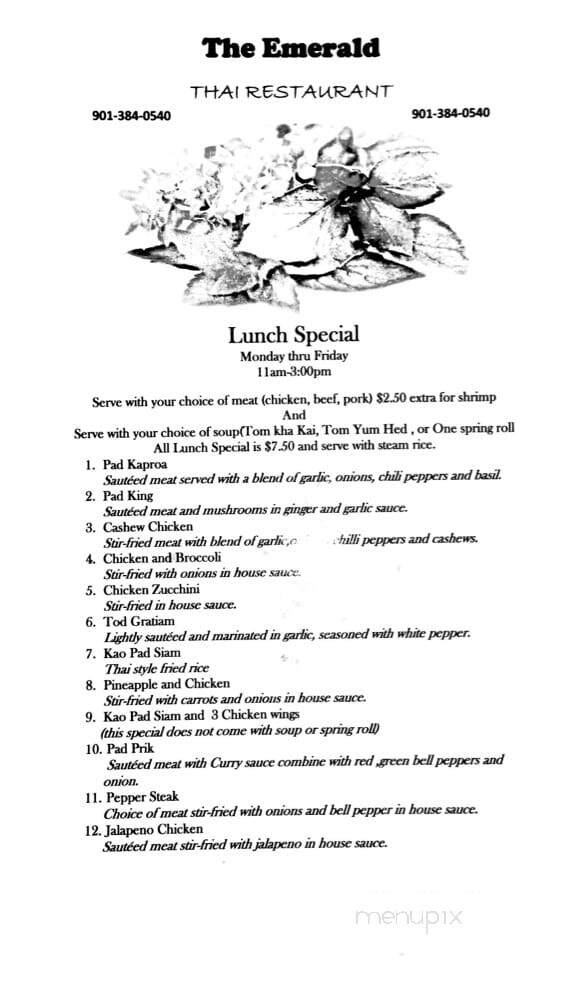 The Emerald Thai Restaurant - Lakeland, TN menu_pic