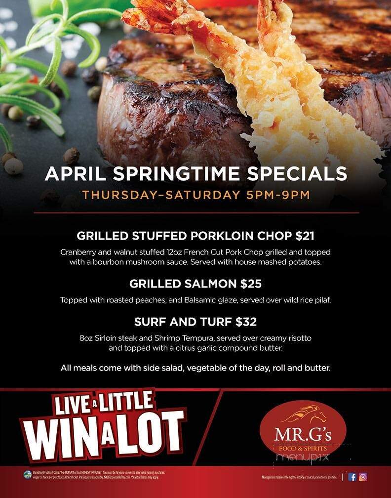 MR. G's Food Spirits - Vernon, NY menu_pic
