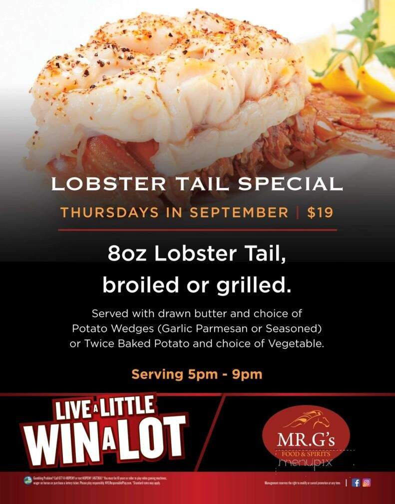 MR. G's Food Spirits - Vernon, NY menu_pic