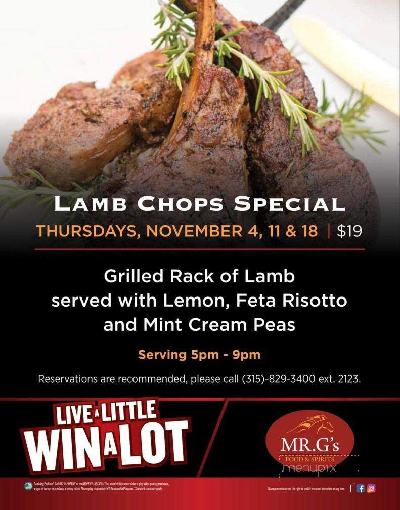 MR. G's Food Spirits - Vernon, NY menu_pic