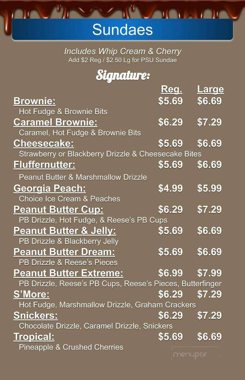 Drizzle Ice Cream - Alburtis, PA menu_pic