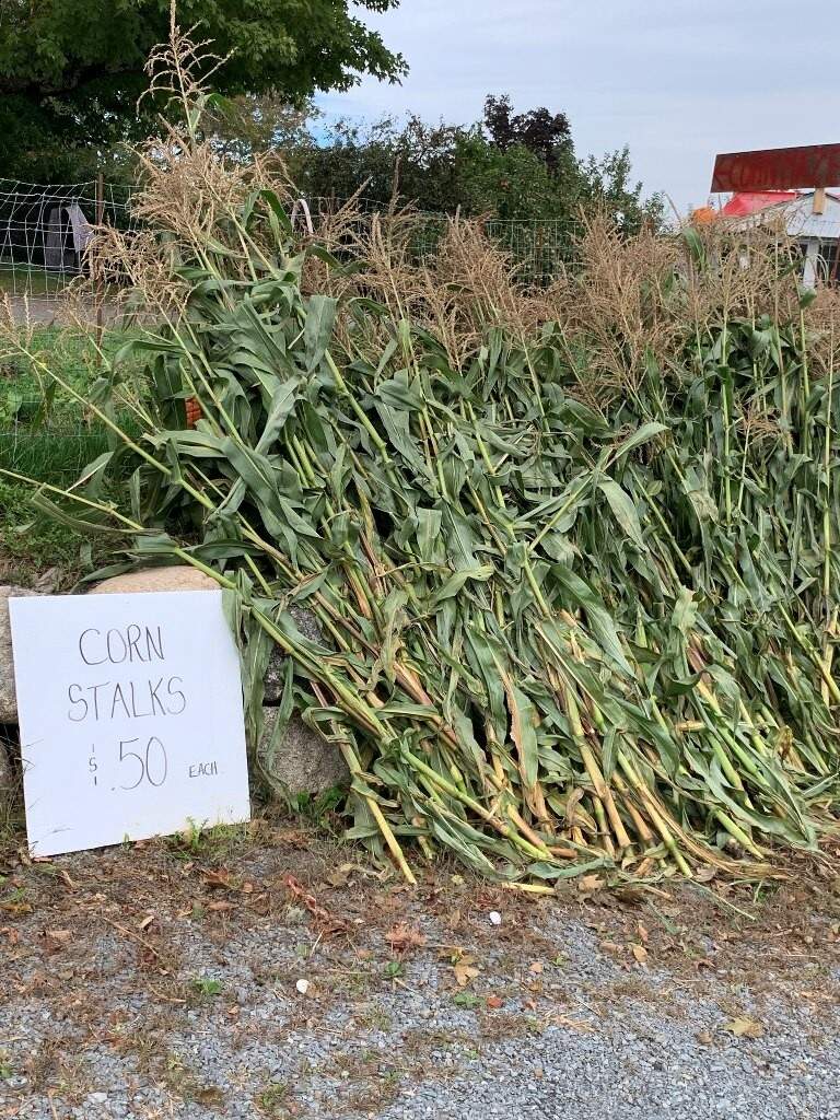 Indian Garden Farms - Bridgewater, NS