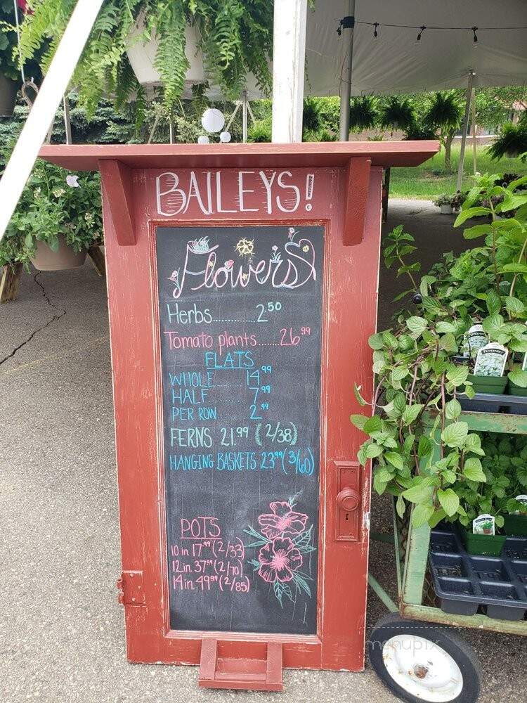 Bailey's Ice Cream and Smokehouse - Metamora, MI menu_pic