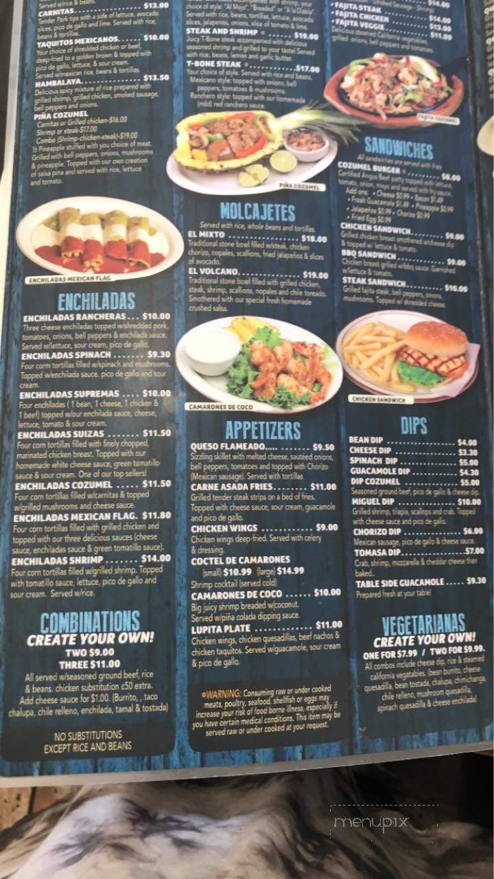 Cozumel Mexican Grill - Saint Albans, WV menu_pic