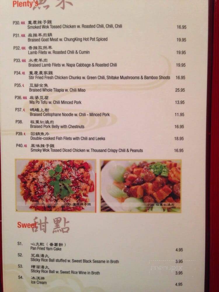 Land of Plenty - New York, NY menu_pic