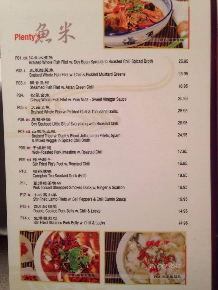 Land of Plenty - New York, NY menu_pic
