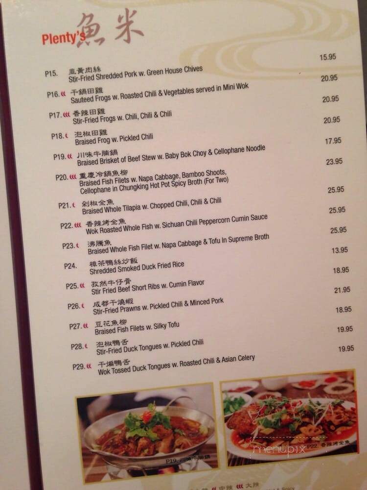 Land of Plenty - New York, NY menu_pic
