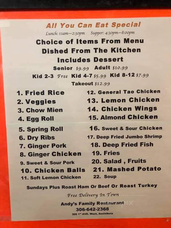 Andy's Family Restaurant - Assiniboia, SK menu_pic