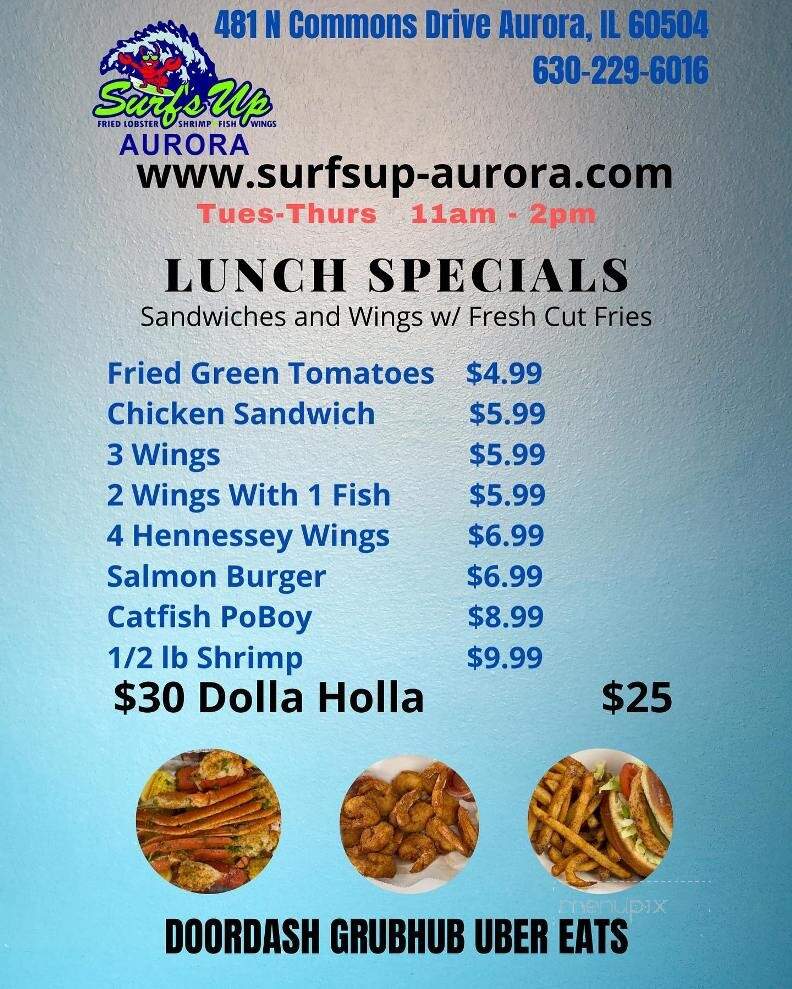 Surf's Up - AURORA, IL