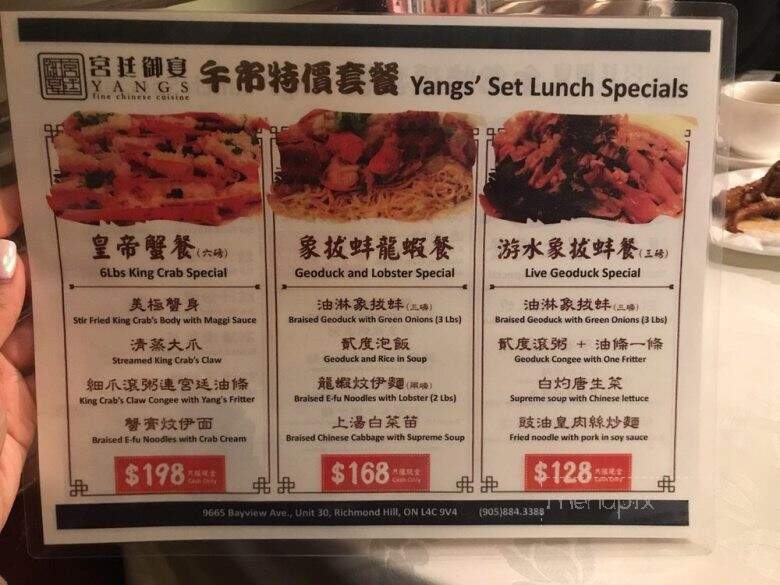Yang's Fine Chinese Cuisine - Richmond Hill, ON menu_pic