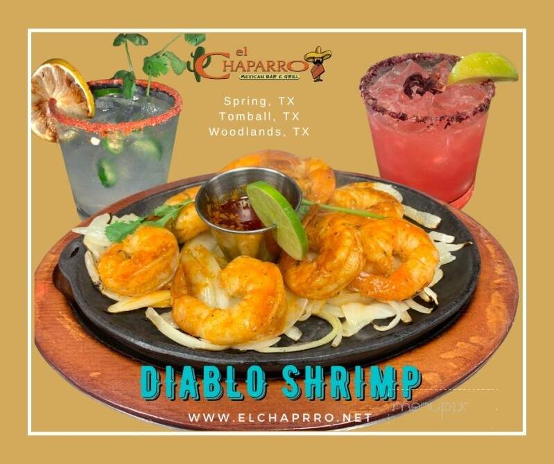 El Chaparro Mexican Bar & Grill - The Woodlands, TX menu_pic
