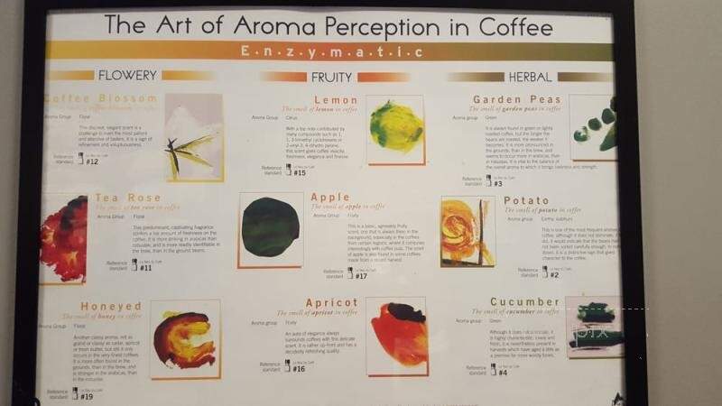 Chocolate Fish Coffee Roasters - Folsom, CA menu_pic