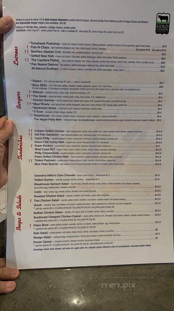 Trident Grill IV - Tucson, AZ menu_pic