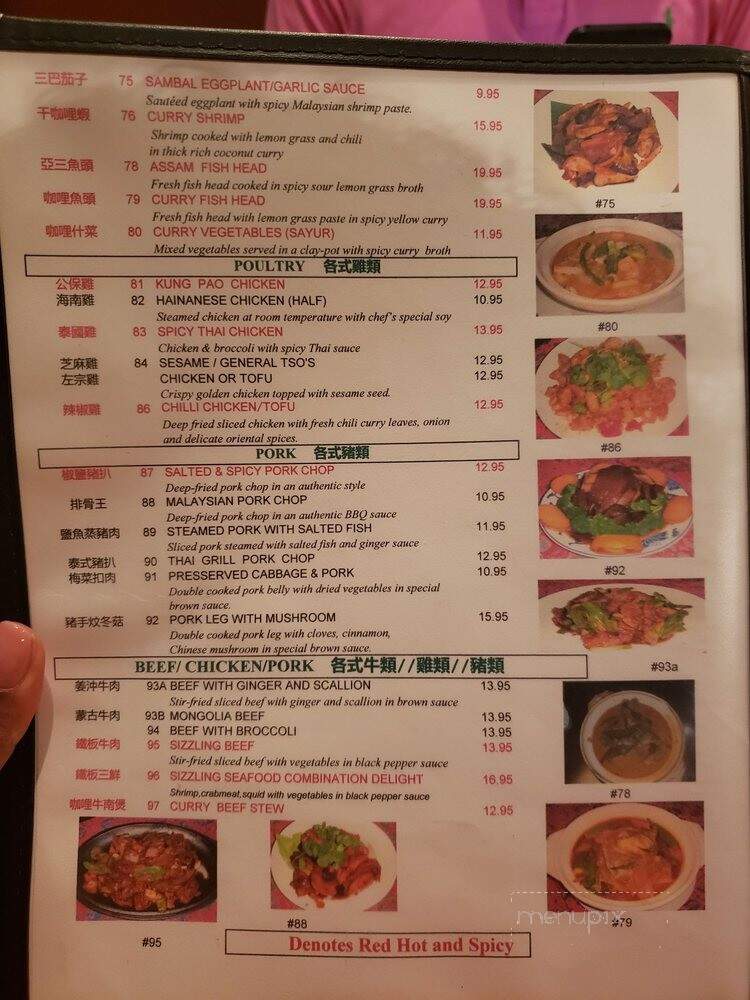 Penang Malaysian Cuisine - Kennesaw, GA menu_pic