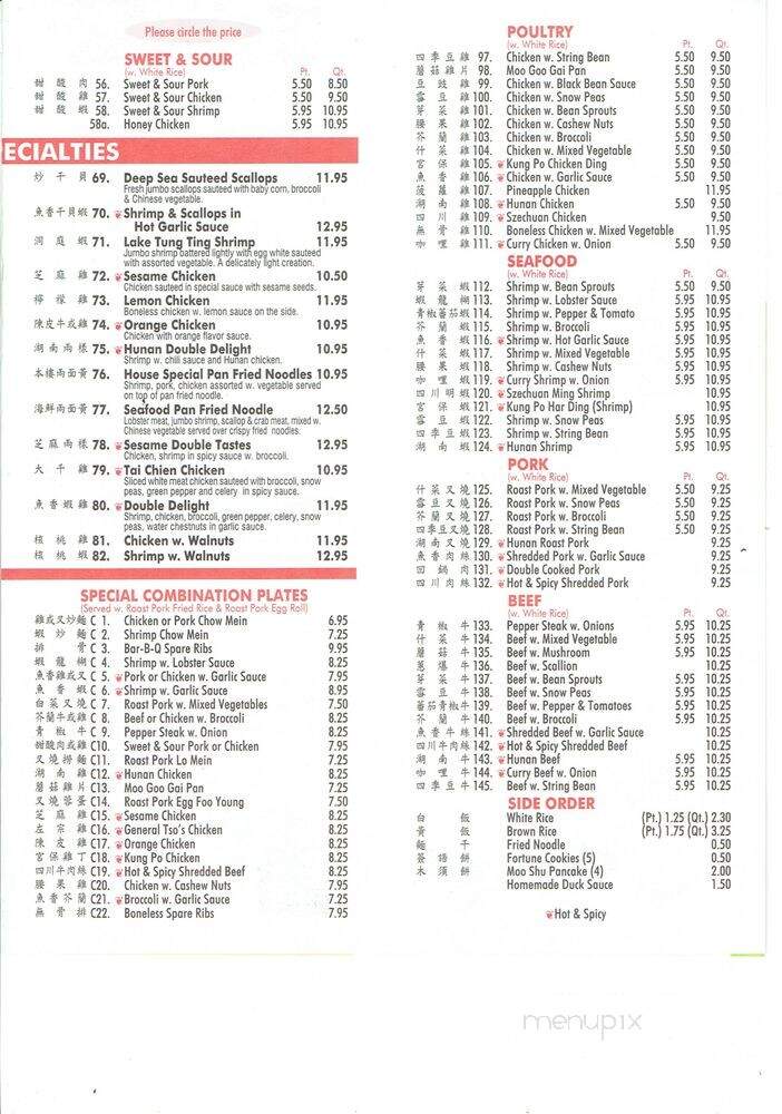 Chen Young Kitchen - Wappingers Falls, NY menu_pic