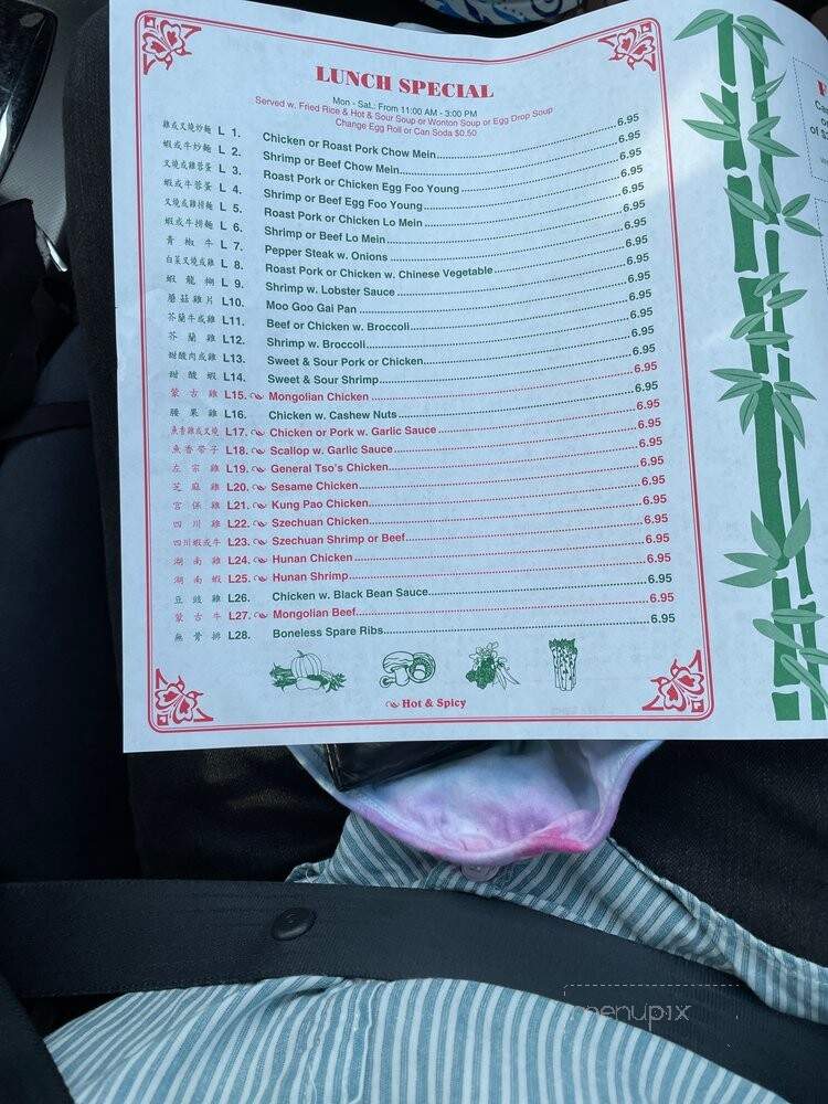 China King - Rex, GA menu_pic