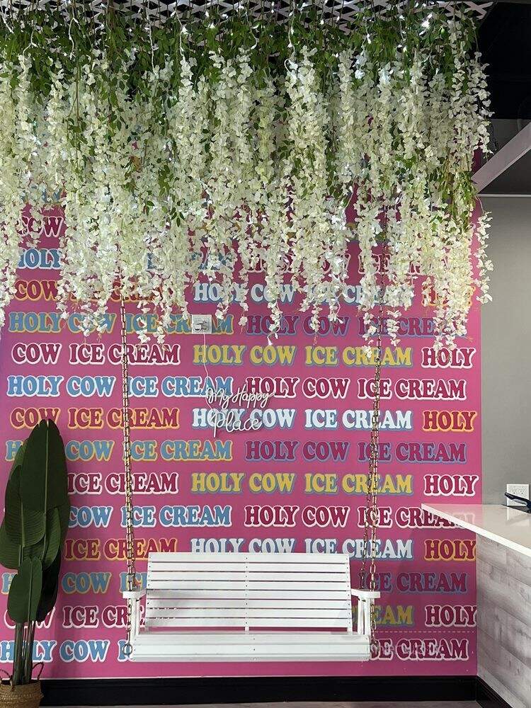 Holy Cow Ice Cream - Margate, FL