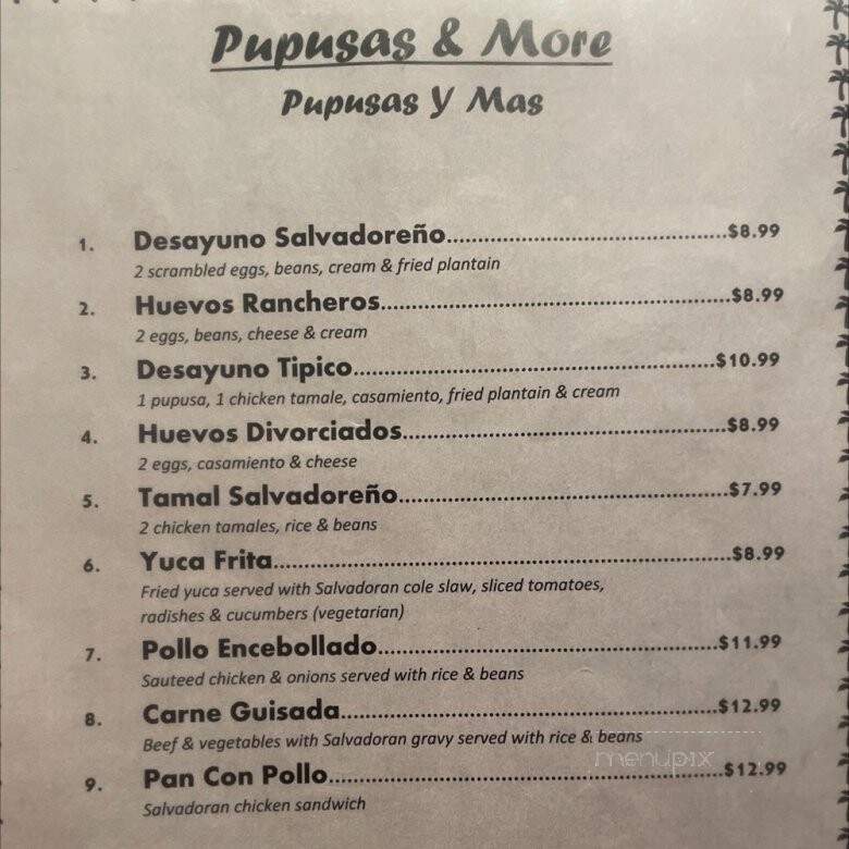 Holy Pupusas - Denton, TX