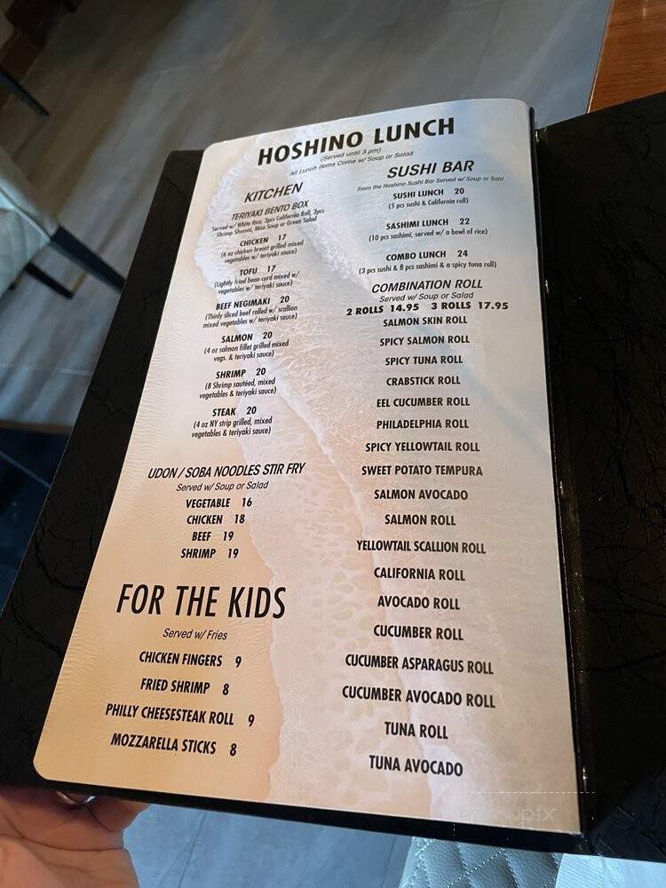 Hoshino Sushi - Lavallette, NJ menu_pic