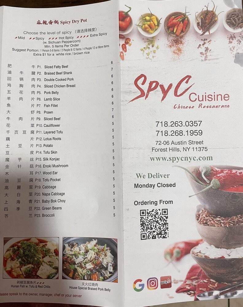 Spy C Cuisine - Forest Hills, NY