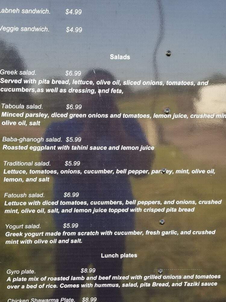 Teta's Kitchen - Houston, TX menu_pic
