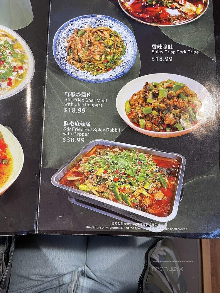 Spicy Style of Sichuan - Seattle, WA menu_pic