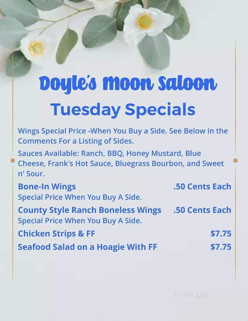Doyles Moon Saloon - Mosinee, WI menu_pic