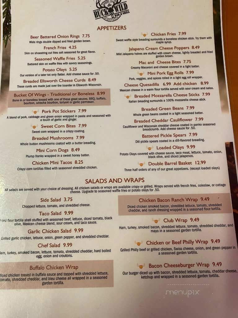 Buck Wild Bar & Grill - Zumbro Falls, MN