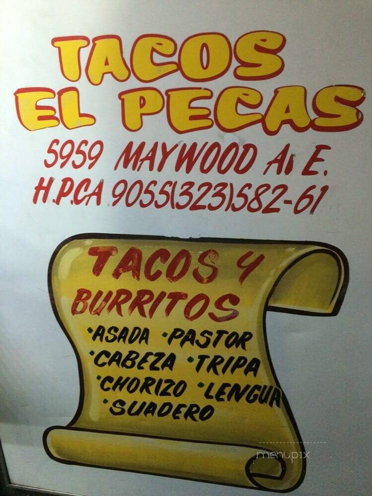 Tacos El Pecas - Los Angeles, CA