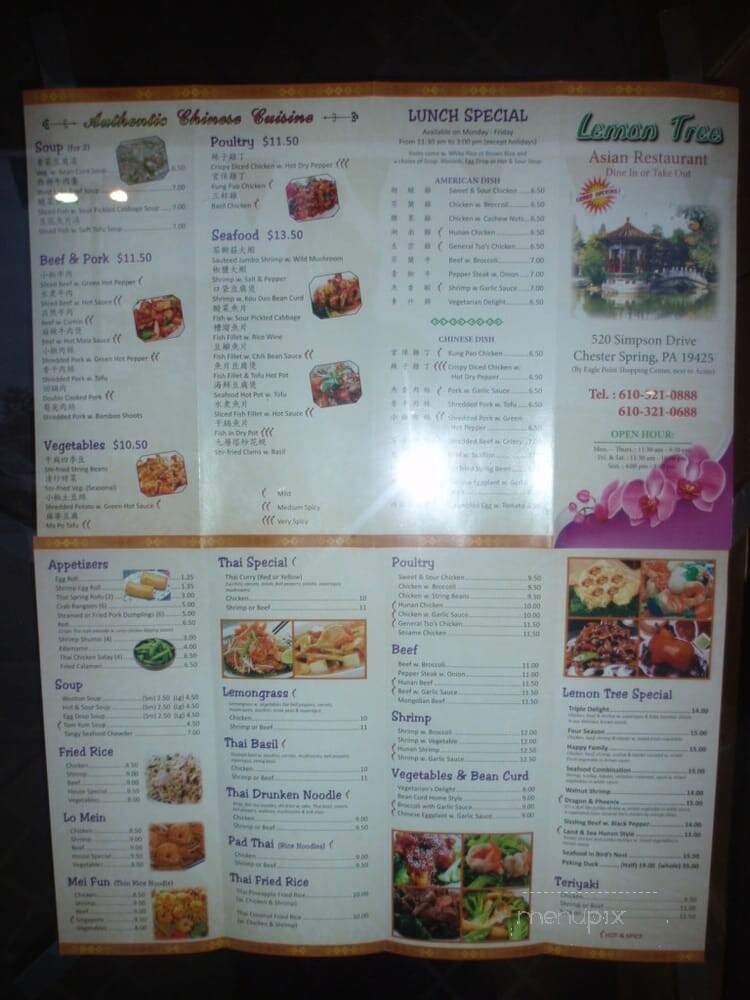 Lemon Tree Asian Restaurant - Chester Springs, PA