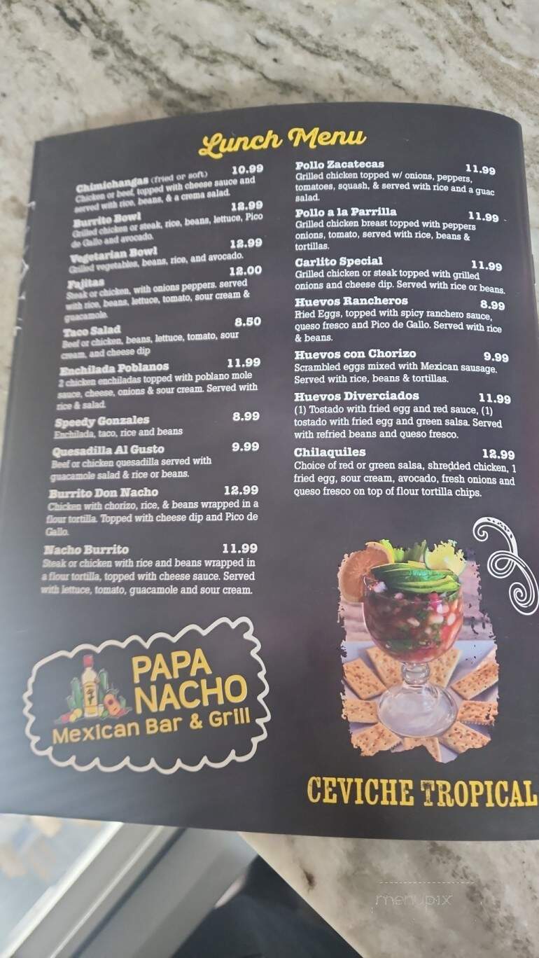 Papa Nacho Mexican Bar & Grill - Newport News, VA menu_pic