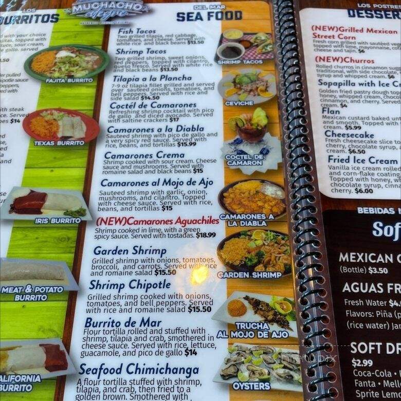 El Muchacho Alegre - Omaha, NE menu_pic