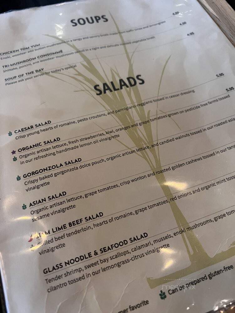 Lemon Grass Cafe - Bellaire, TX menu_pic