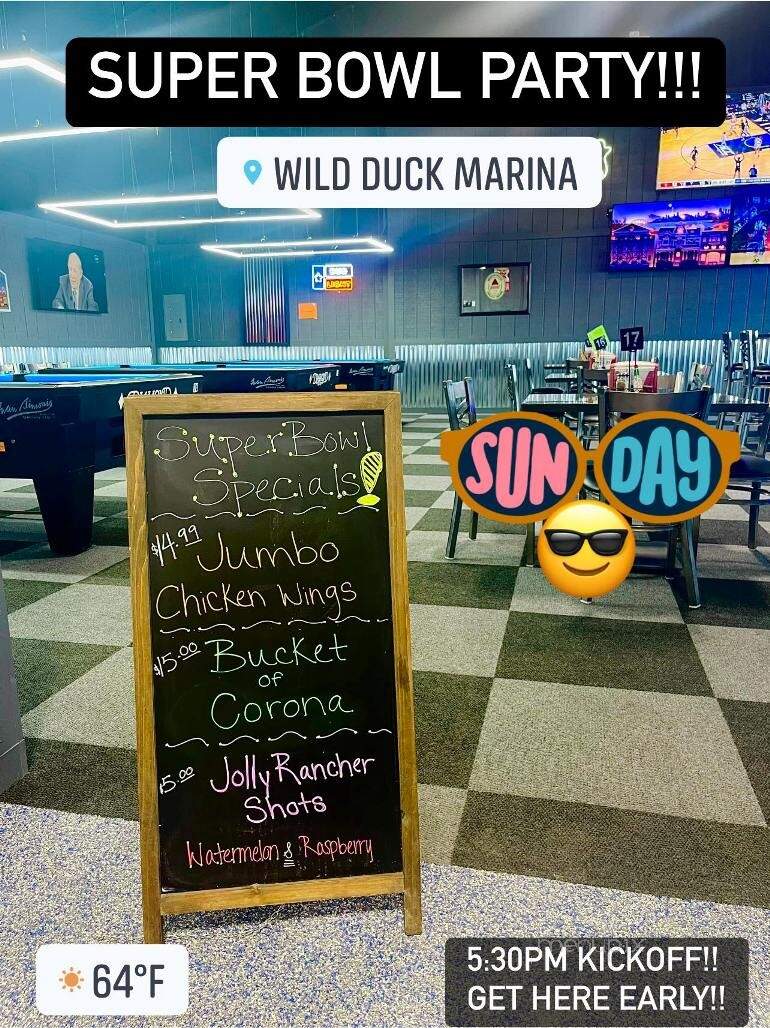Wild Duck Marina - Brownwood, TX