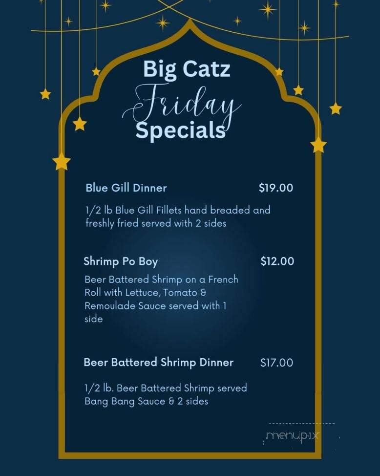 Big Catz BBQ - Knoxville, IL